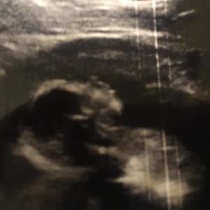 Meet your Posher, Ashleigh